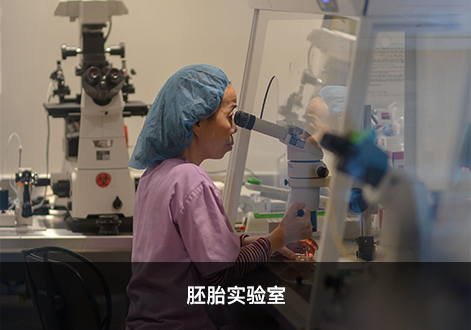 胚胎实验室